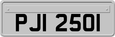 PJI2501