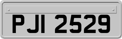 PJI2529