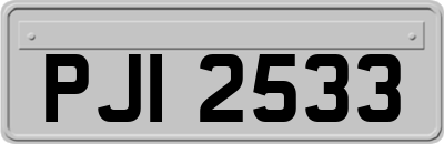 PJI2533