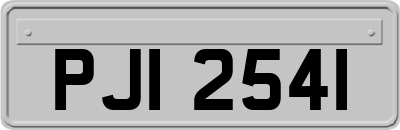 PJI2541