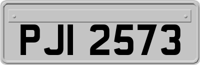 PJI2573