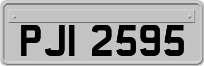 PJI2595