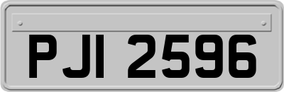 PJI2596