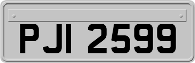 PJI2599