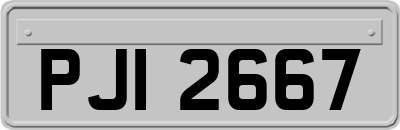 PJI2667