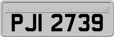 PJI2739