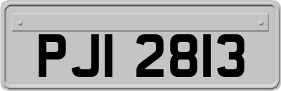PJI2813