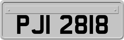 PJI2818