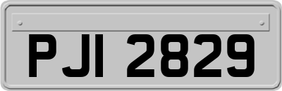 PJI2829