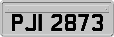 PJI2873