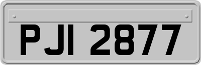 PJI2877