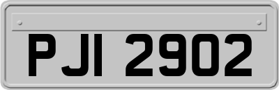 PJI2902