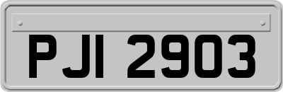 PJI2903