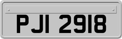 PJI2918