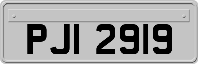PJI2919