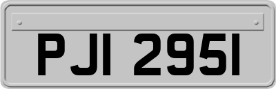 PJI2951