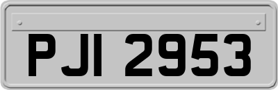 PJI2953