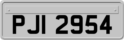 PJI2954