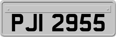 PJI2955