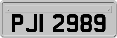 PJI2989