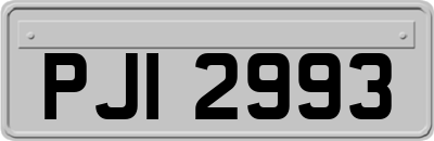 PJI2993
