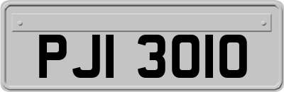 PJI3010