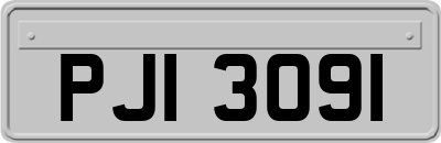 PJI3091