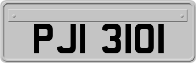 PJI3101