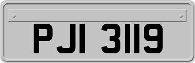 PJI3119