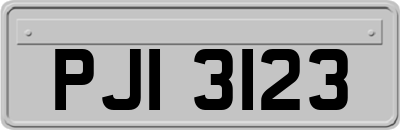 PJI3123
