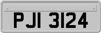 PJI3124
