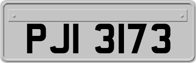 PJI3173