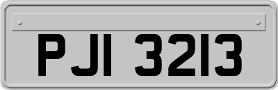 PJI3213