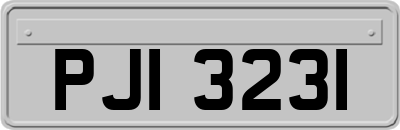 PJI3231