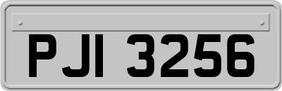 PJI3256