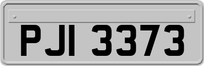PJI3373
