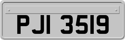 PJI3519