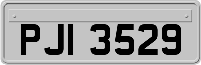 PJI3529