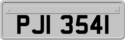 PJI3541