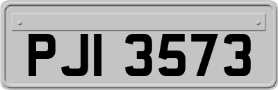 PJI3573