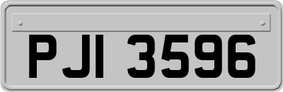 PJI3596