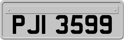 PJI3599