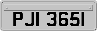PJI3651