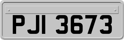 PJI3673