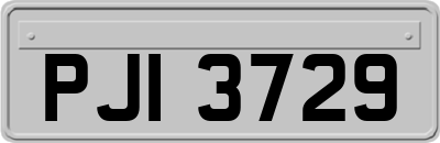 PJI3729