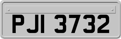 PJI3732