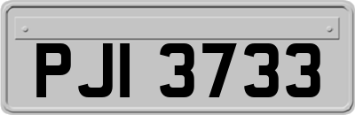 PJI3733