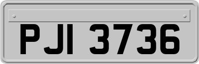 PJI3736