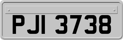 PJI3738