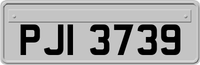 PJI3739